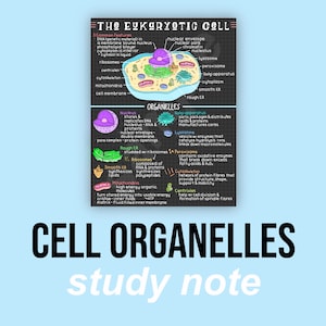 Cell Organelles Study Notes | Biology Notes