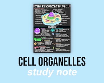 Puede incluir: Una ilustración colorida de una célula eucariota con etiquetas para cada orgánulo, incluyendo el núcleo, los ribosomas, el aparato de Golgi, los lisosomas y las mitocondrias. El texto "CELL ORGANELLES study note" está en la parte inferior de la imagen.