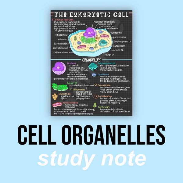 Cell Organelles Study Notes | Biology Notes