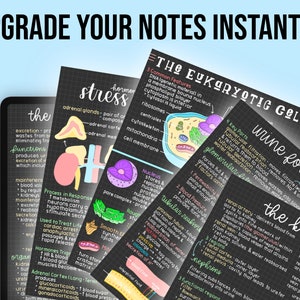 May include: A set of colorful digital note cards with handwritten text and illustrations. The cards cover topics like the eukaryotic cell, stress hormones, and urine formation in the kidney.