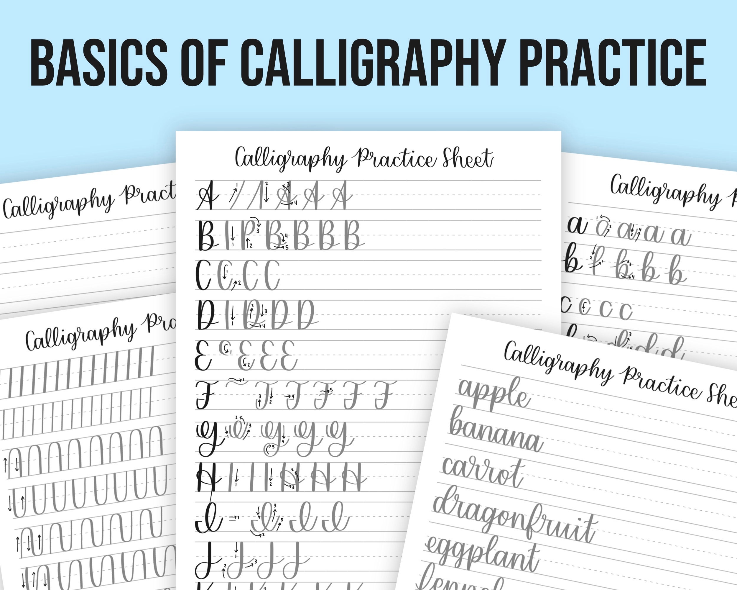 Basics of Calligraphy Practice Sheet Templates Calligraphy Printable iPad  Procreate Calligraphy 