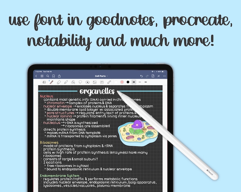 The Ultimate Handwritten Fonts Bundle | 6 Handwriting Font Styles image 3