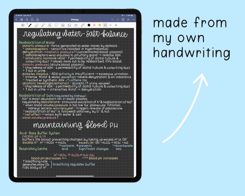 My Handwriting Font: Extended Version image 3