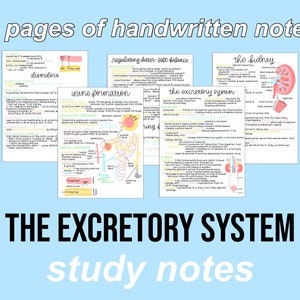 Biology Notes (Excretory System) | Digital Notes