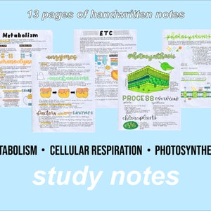 Biologie Notizen (Zellatmung & Photosynthese)