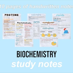 Biology Notes (Biochemistry)