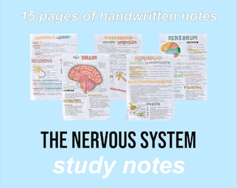 Biology Notes (The Nervous System)