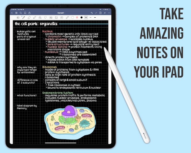 May include: A digital illustration of a cell with labeled organelles, including the nucleus, ribosomes, and endomembrane system. The text "Take Amazing Notes On Your iPad" is displayed in the upper right corner of the image.