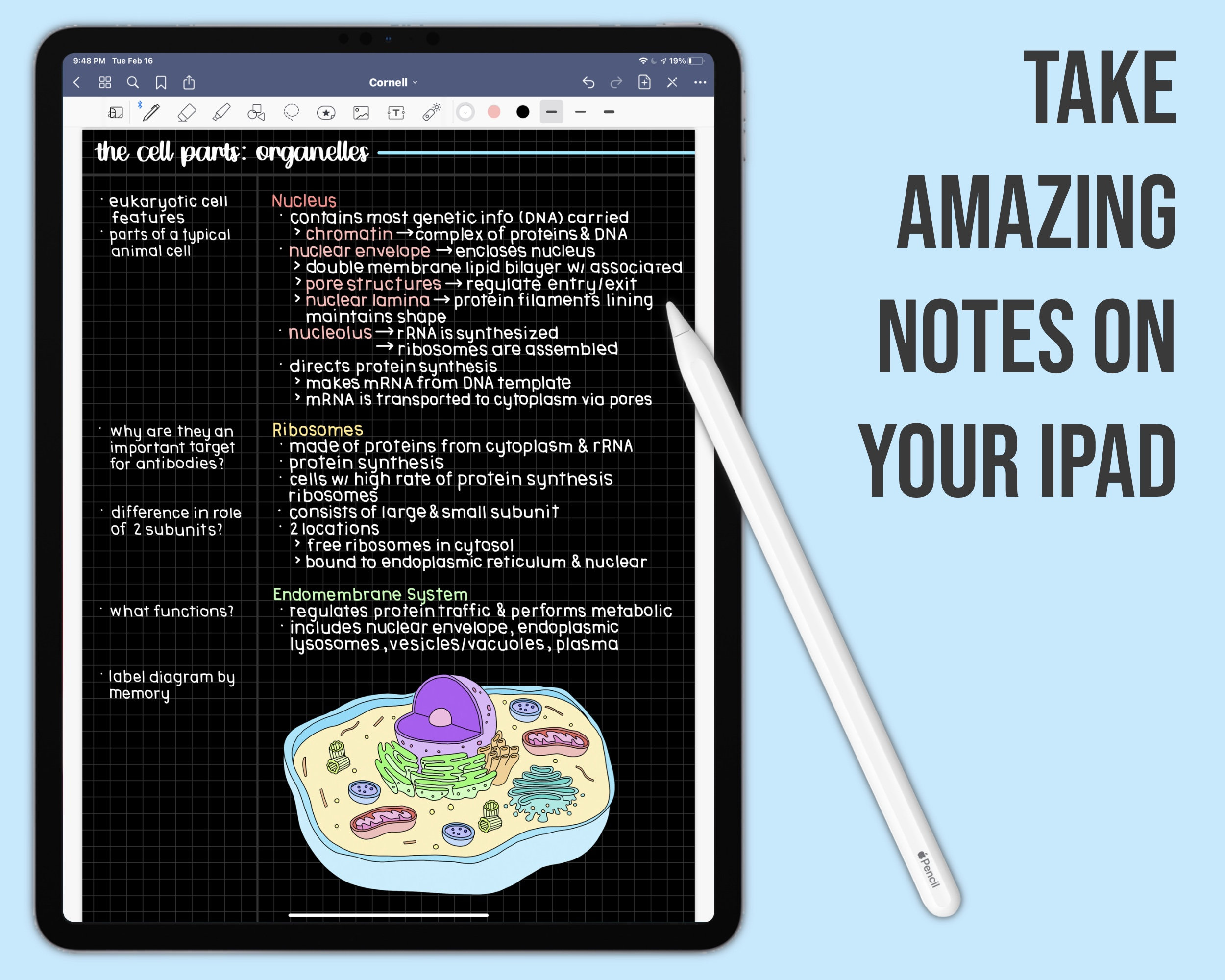 Continuous Cornell Notes Paper Template Sheets Grid & Lined | Etsy