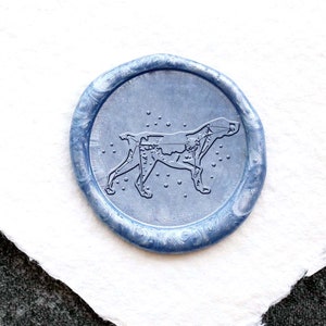 Canis Major Constellation lakzegel Wax, aangepaste waszegelkit, wasstempel, zegellakstempel