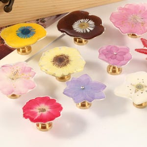 May include: A collection of decorative cabinet knobs featuring real pressed flowers encased in clear resin. The knobs have brass bases and come in various colors, including yellow, pink, red, and purple. A wooden box is in the background.