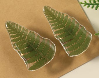 Harz gepresste Farnblatt Schubladenknopf, getrocknete Blatt Schrankknopf, einzigartige Knopf, dekorativer grüner Schrankknopf, Farn Messingknopf