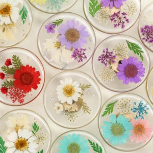 May include: A collection of clear, round coasters with dried flowers encased in resin. The coasters feature various colorful flowers, including daisies, purple asters, and yellow blooms, with green accents. A decorative and functional item.