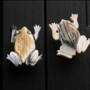 Natural shell frog drawer knob, brass animals cabinet knob, unique knob, decorative  cupboard knob,Frog golden base knob