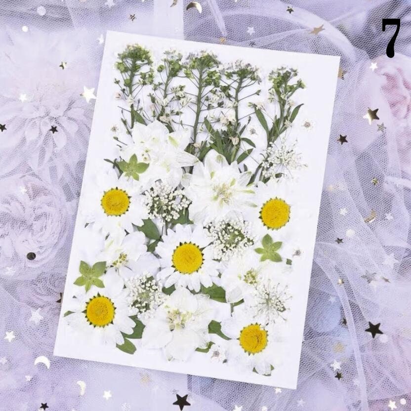 Pressed dried flowers sealing wax pressed flower pressed Etsy