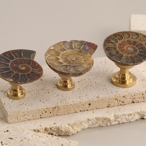 Puede incluir: Tres tiradores decorativos para armarios con diseño de amonita fosilizada. Los tiradores presentan un patrón en espiral en tonos marrones y beige, montados sobre bases de latón. Se exhiben sobre una superficie de piedra clara texturizada.