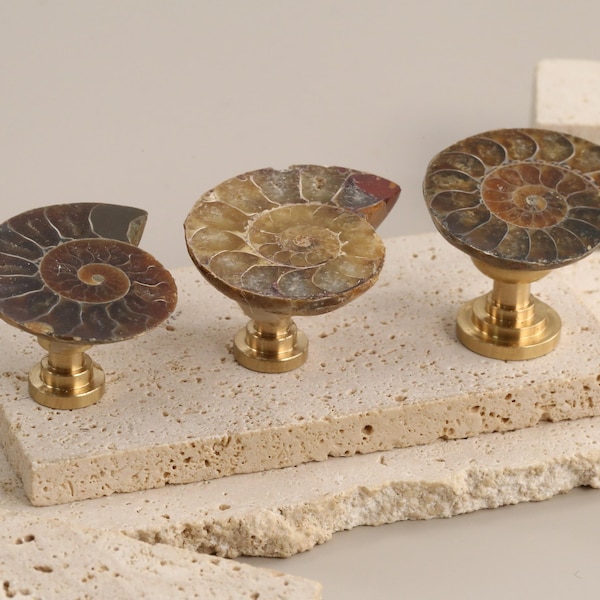 Nautilus shell fossils drawer knob, nautilus shell fossils cabinet knob, unique knob, decorative shell  cupboard knob,nautilus brass knob