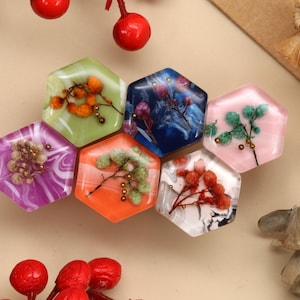 Può includere: Una collezione di sei pezzi esagonali in resina di vari colori, ciascuno contenente fiori e foglie essiccate. I colori includono verde, viola, arancione, blu, rosa e bianco. Disposti su una superficie beige chiaro, con bacche rosse e foglie secche.