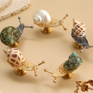 Nautilus shell drawer knob, nautilus shell cabinet knob, unique knob, decorative shell  cupboard knob,nautilus brass knob