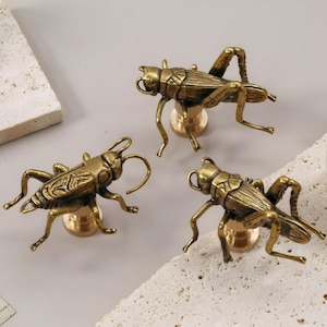 May include: Three brass grasshopper-shaped cabinet knobs. Each insect is mounted on a round base. The knobs are arranged on a light-coloured surface with textured, off-white blocks.