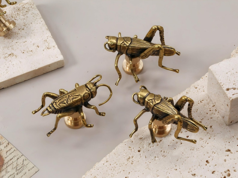 May include: Three brass grasshopper-shaped cabinet knobs. Each insect is mounted on a round base. The knobs are arranged on a light-coloured surface with textured, off-white blocks.