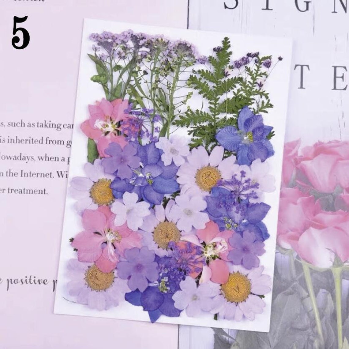 Pressed dried flowers sealing wax pressed flower pressed Etsy