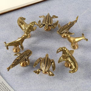May include: A collection of seven brass cabinet knobs, each sculpted in the shape of marine animals. The knobs feature detailed designs of seals and turtles, with a warm, golden finish. These decorative knobs are ideal for adding a nautical touch to furniture.