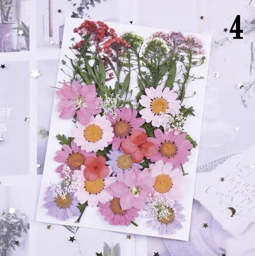 Pressed Dried Flowers Sealing Wax Pressed Flower Pressed Etsy