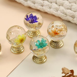 Könnte beinhalten: Klare Glasschrankknöpfe mit goldfarbenen Sockeln. Jeder Knopf enthält eine farbige Blume und Blattgold. Die Blumen sind blau, gelb, orange, grün und rosa. Geeignet für Schränke oder Schubladen.