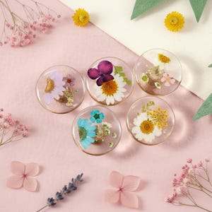 May include: A collection of clear, round resin pieces, each encapsulating a different dried flower. The flowers include daisies, violets, and other colorful blooms. The background is a soft pink, with additional dried flowers scattered around.