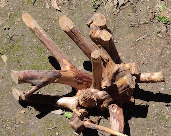 Natürliche Zypressenwurzel Skulptur • Treibholzsockel • Rustikale Wohnkultur • Aquarium/Reptil-Lebensraum Herzstück • Einzigartig Lou