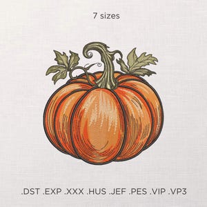 May include: An embroidered pumpkin design with orange and brown hues, featuring a detailed stem and leaves. The text "7 sizes" is above the pumpkin, and various file format extensions are listed below.