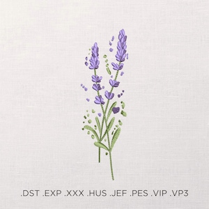 May include: Purple lavender flowers with green stems and leaves on a white background.