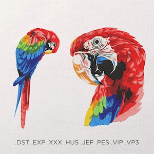 Parrot Machine Embroidery Design - Parrot Embroidery Files - 7 Sizes - Instant Download