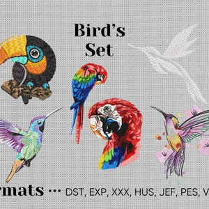 May include: A set of five embroidery designs featuring different birds. The designs include a toucan, two hummingbirds, and two parrots. The designs are available in multiple formats, including DST, EXP, XXX, HUS, JEF, PES, VIP, and VP3.  "Bird's Set" is written in the top center of the image.