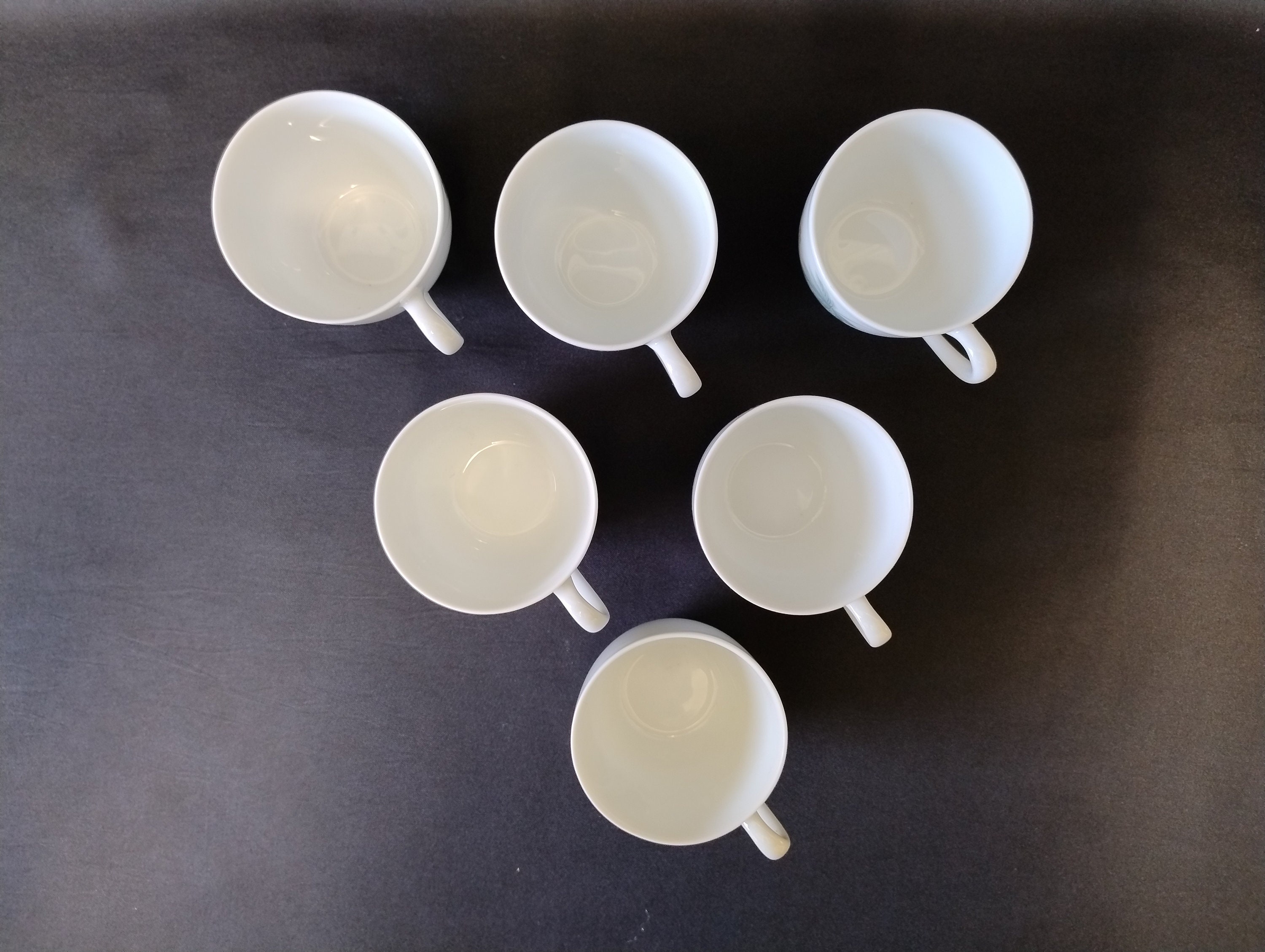 Noritake Wild Ivy 6 Demitasse Coffee Cups & Saucers. Nagoya