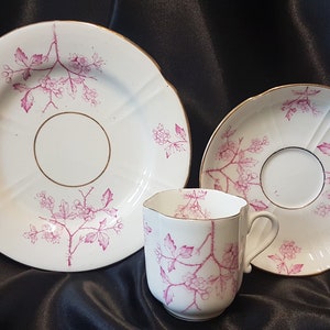 May include: A white teacup and saucer set with a pink floral pattern. The set has a gold trim around the edges.
