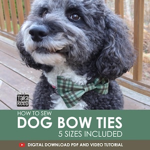 Patrón de pajarita para perro en 5 tamaños (descarga instantánea)