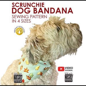 May include: A light-colored dog wearing a light blue bandana with a fall leaves pattern. The image includes text that reads "SCRUNCHIE DOG BANDANA SEWING PATTERN IN 4 SIZES" and "Instant Download". The image also includes the text "Sew with Tara Reed" and a YouTube video tutorial logo.
