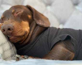 Stanley's Woof Wear Handmade Bamboo Anti-Chaffing barrier vest