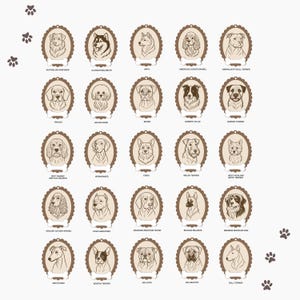 May include: A collection of 24 dog breed portraits in oval frames with bone-shaped name tags. Breeds include Australian Shepherd, Alaskan Malamute, Akita, American Cocker Spaniel, Beagle, Bichon Frise, Boxer, Border Collie, and more. Paw prints are in the corners.
