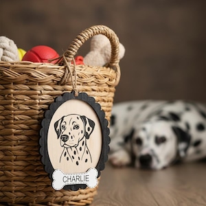 May include: A woven basket filled with dog toys, with a wooden tag featuring a Dalmatian illustration. The tag has a black scalloped frame and a bone-shaped name tag that reads "CHARLIE". A Dalmatian dog is in the background.