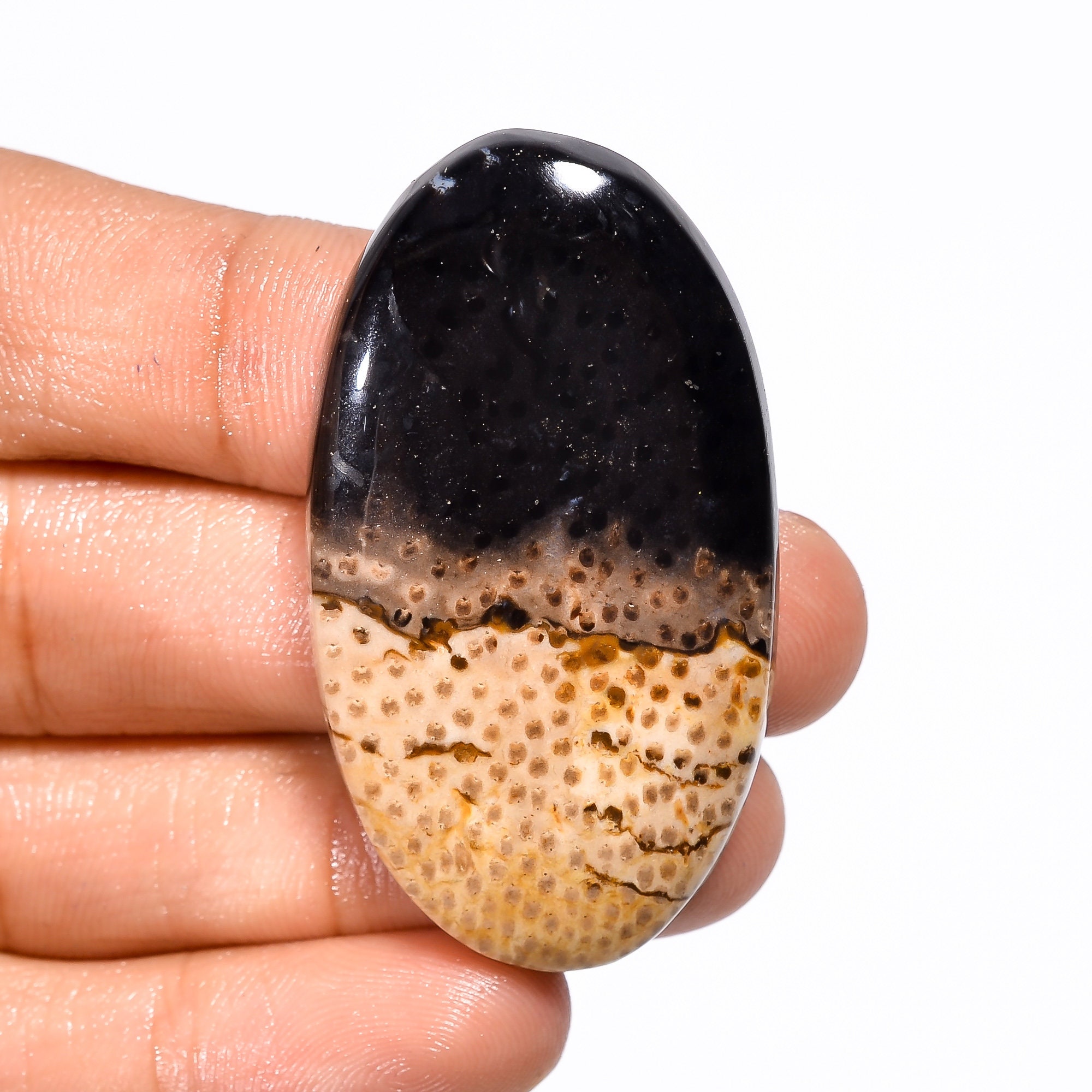 大きめハートのパームルート 大きめハートのパームルート 2025年最新