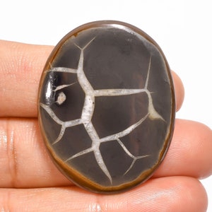 Septarian Gemstone, 100% Natural Septarian Gronates Cabochon, Oval Shape Gemstone 47.5 Ct. Mud Crack Fossil Gemstone, Size 37X29X5 mm S-9859