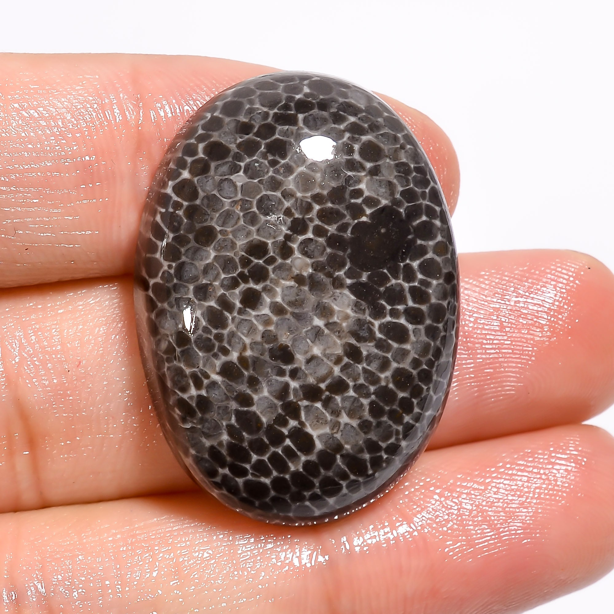Fantastic Quality Loose gemstone for jewellery 08 Cts.D-4248 Black Fossil coral Cabochons 100%Natural Black Fossil coral Gemstone High
