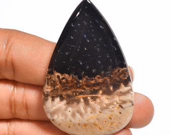 Petrified Palm Root Agate Cabochon 100% Natural Palm Root Agate Pear Shape Loose Gemstone 44.5 Ct Making Jewelry Size 39X26X6mm S-10921