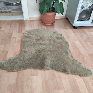 May include: A light green sheepskin rug with a soft, fluffy texture. The rug is laid out on a wooden floor.