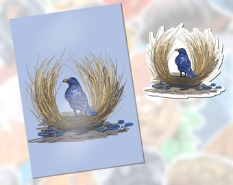 Linocut of a male Great Bowerbird displaying around its bower
