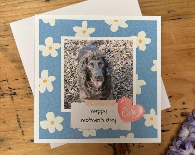 Mothers Day Card, Personalised Labrador Card, card from the dog, dog mum, cocker spaniel, black lab, cockapoo, photo card, mothers day card
