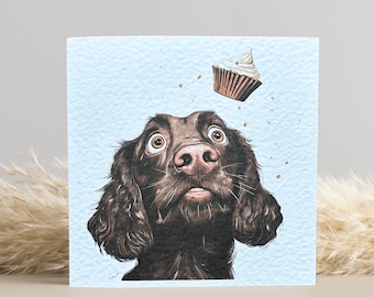 Brown Cocker Spaniel Birthday Card